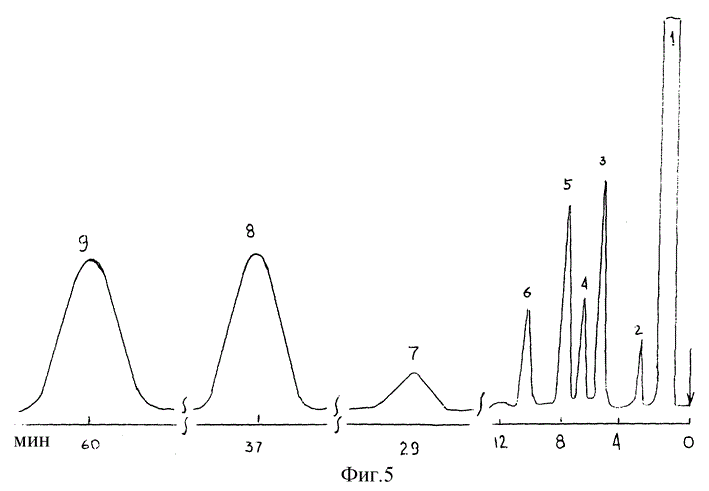 Увеличенное изображение (открывается в отдельном окне)
